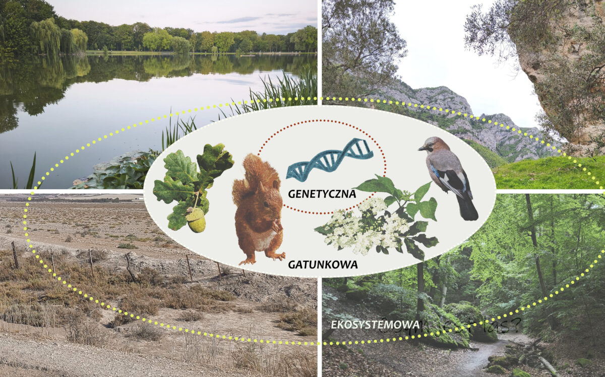 Park Miejski Pańska Góra