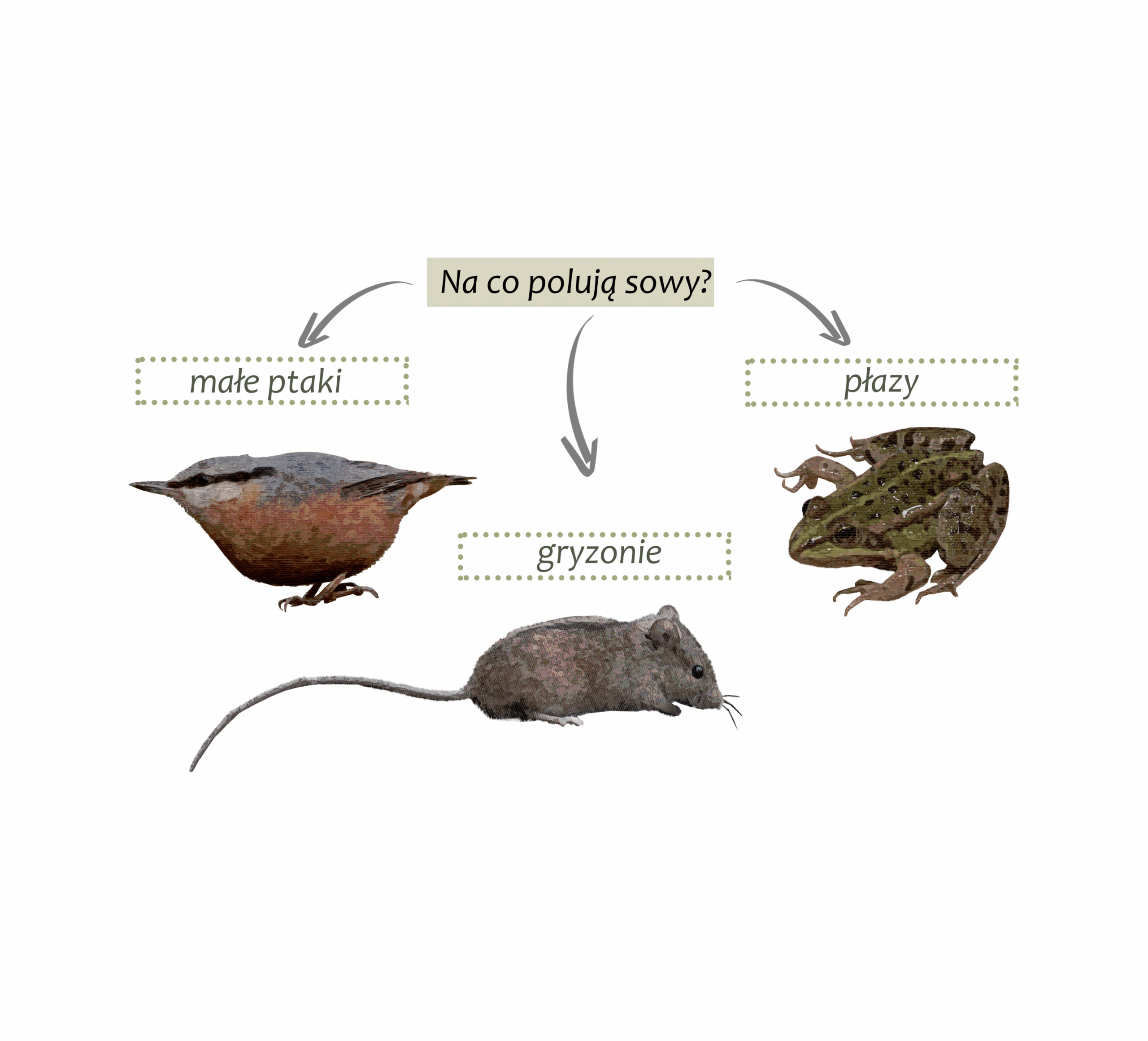 Park Miejski Pańska Góra