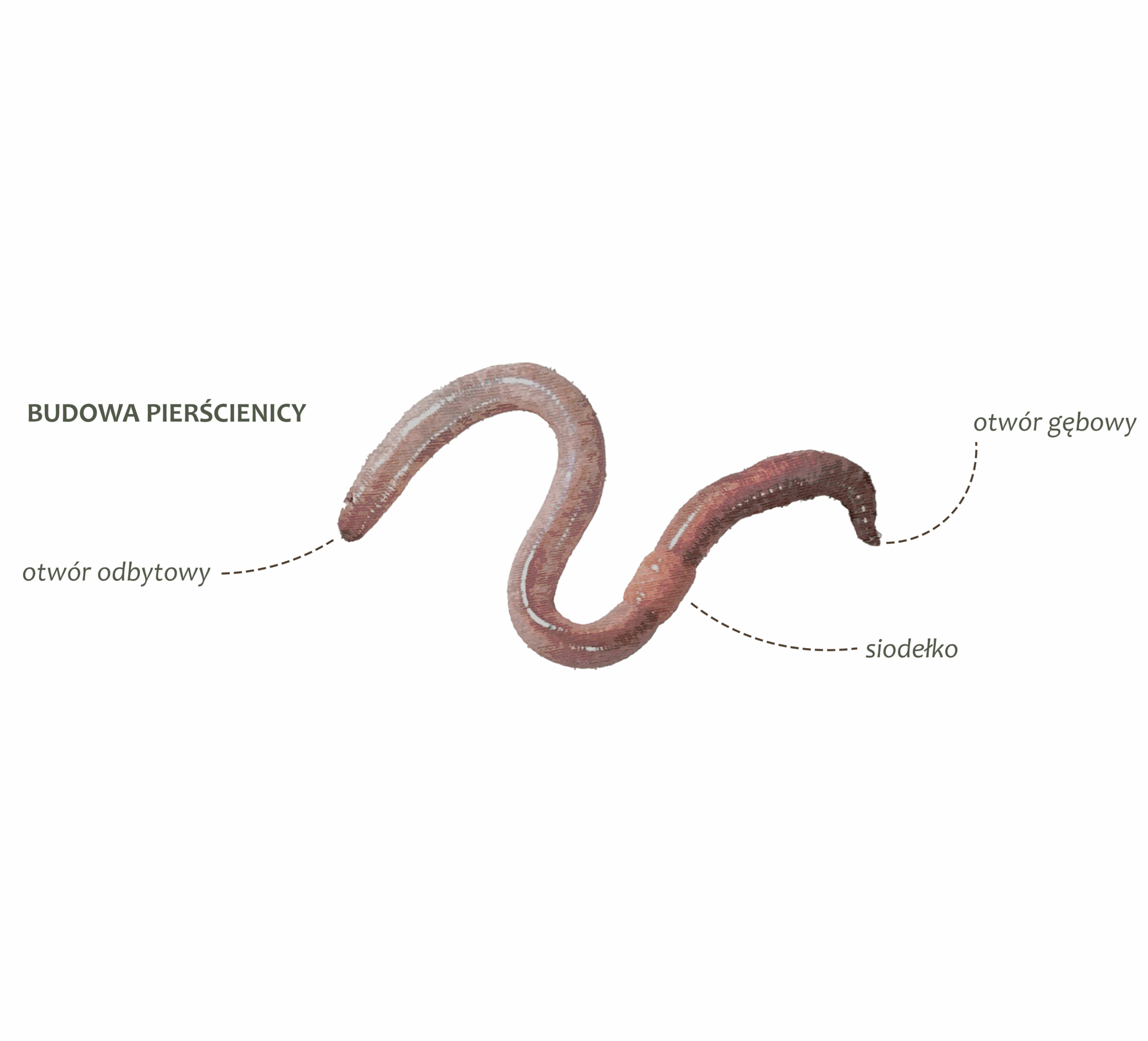 Park Miejski Pańska Góra