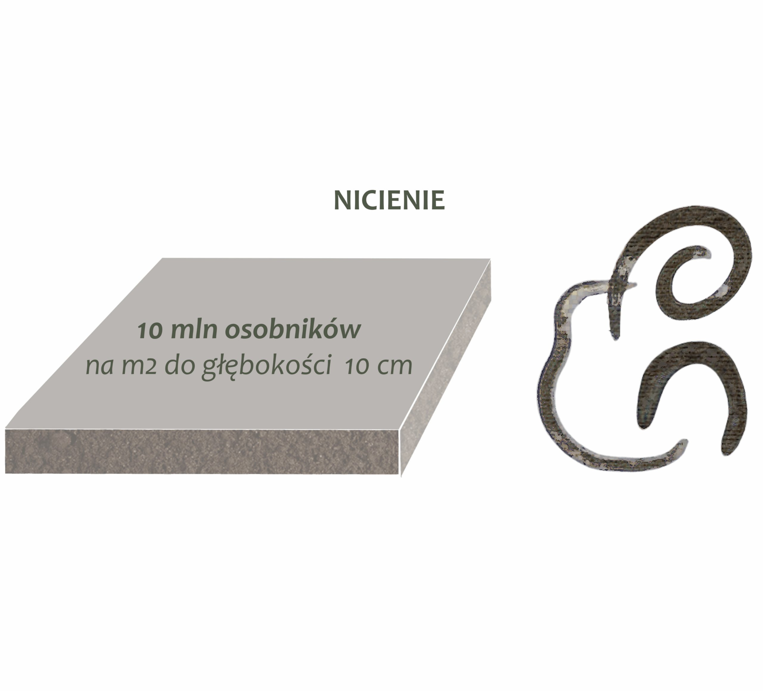 Park Miejski Pańska Góra