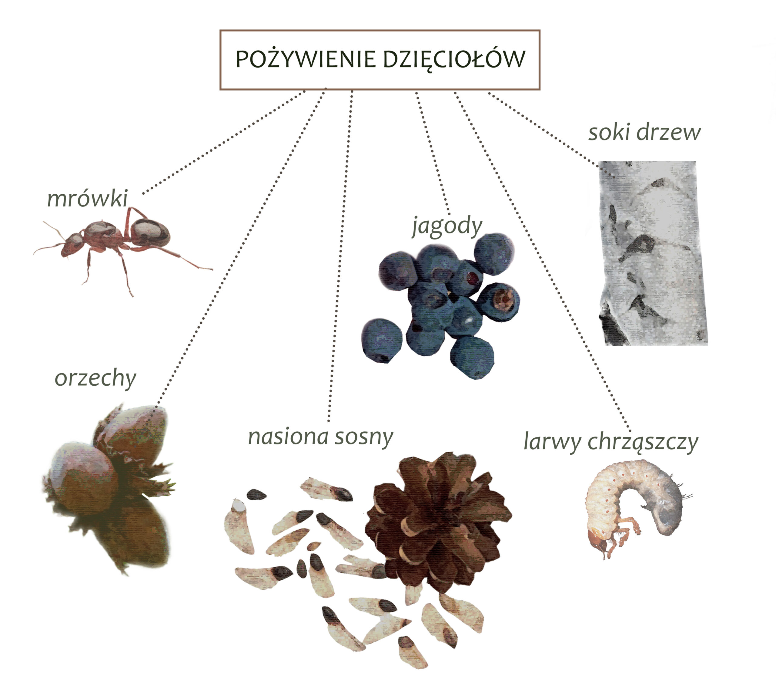 Park Miejski Pańska Góra