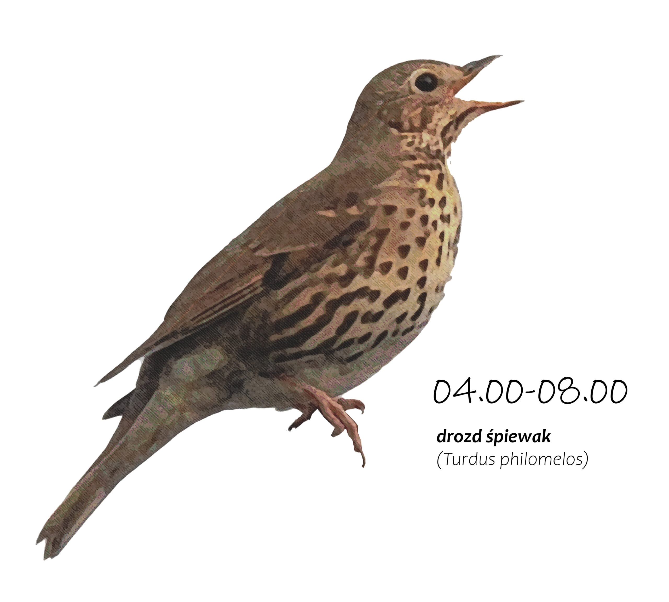 Park Miejski Pańska Góra