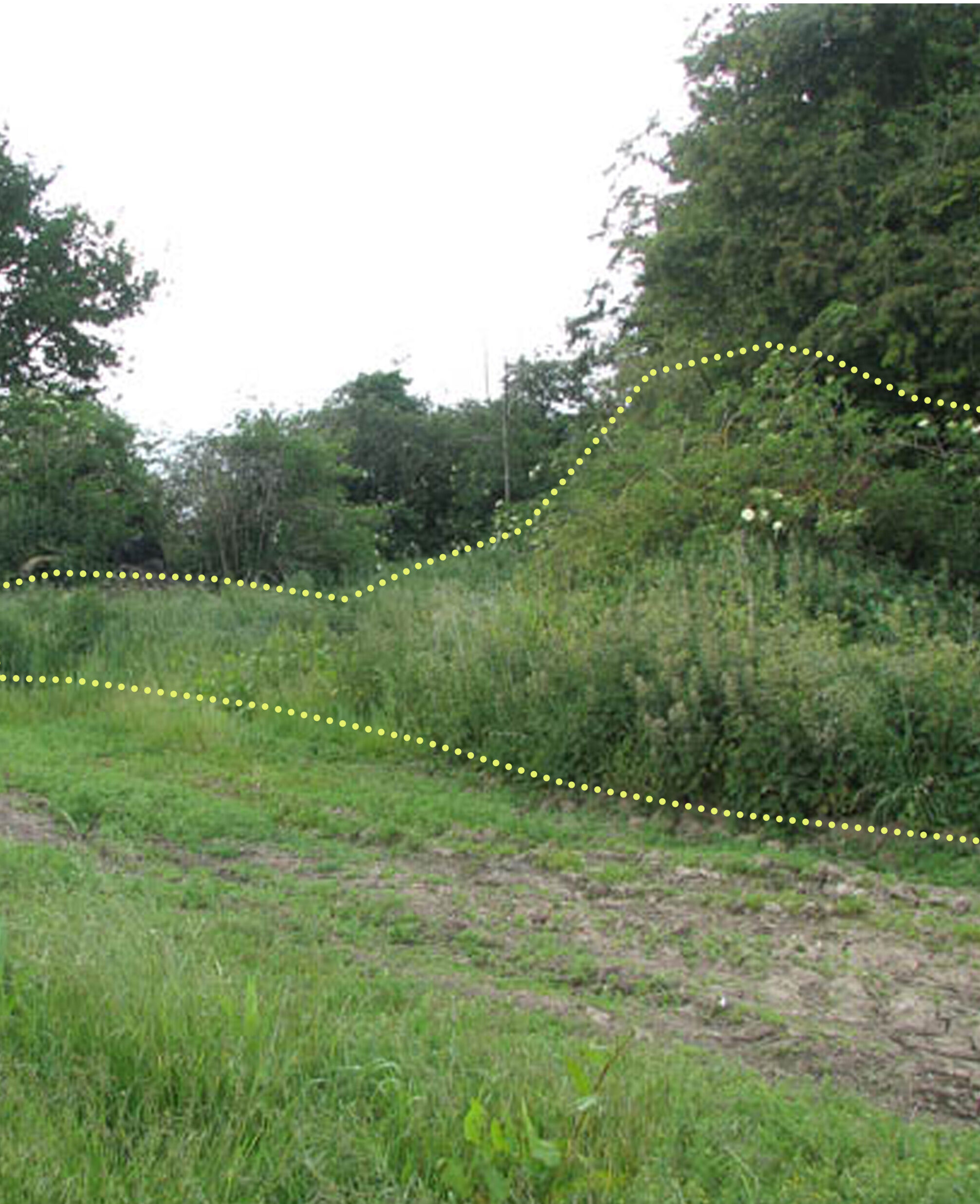 Park Miejski Pańska Góra