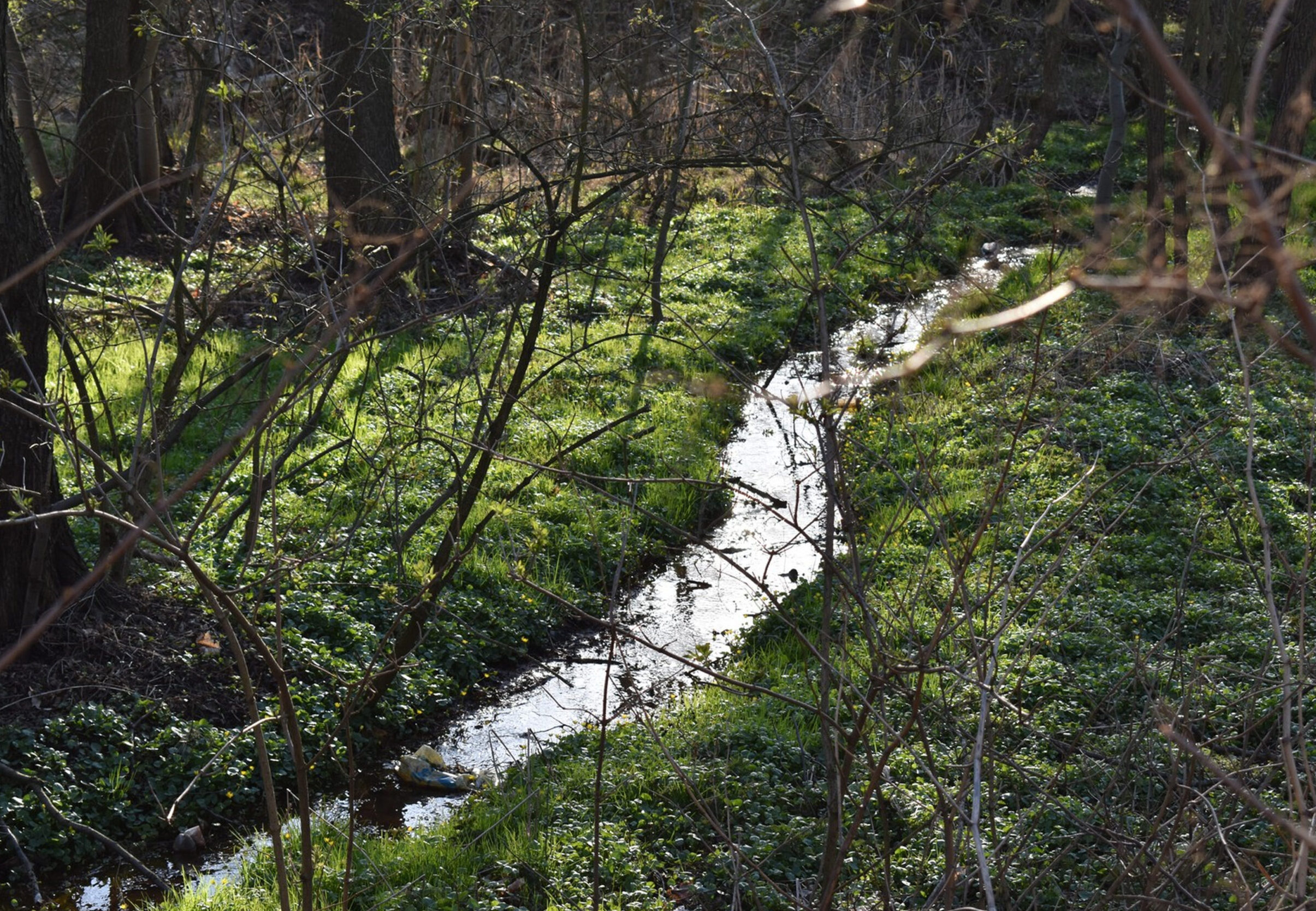 Park Miejski Pańska Góra