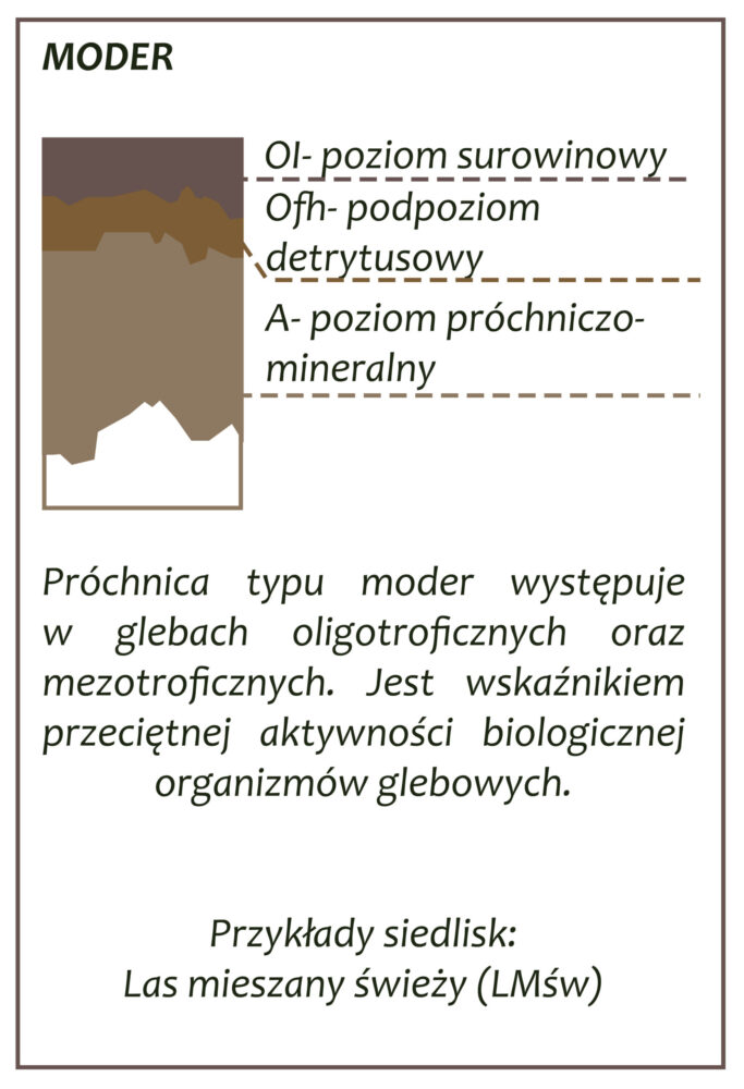 Park Miejski Pańska Góra