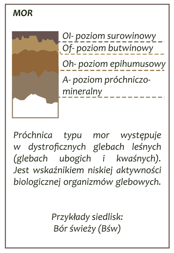 Park Miejski Pańska Góra