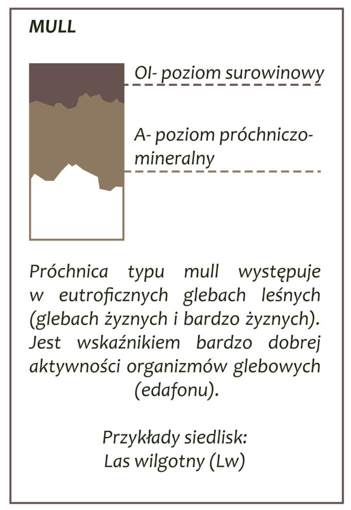 Park Miejski Pańska Góra
