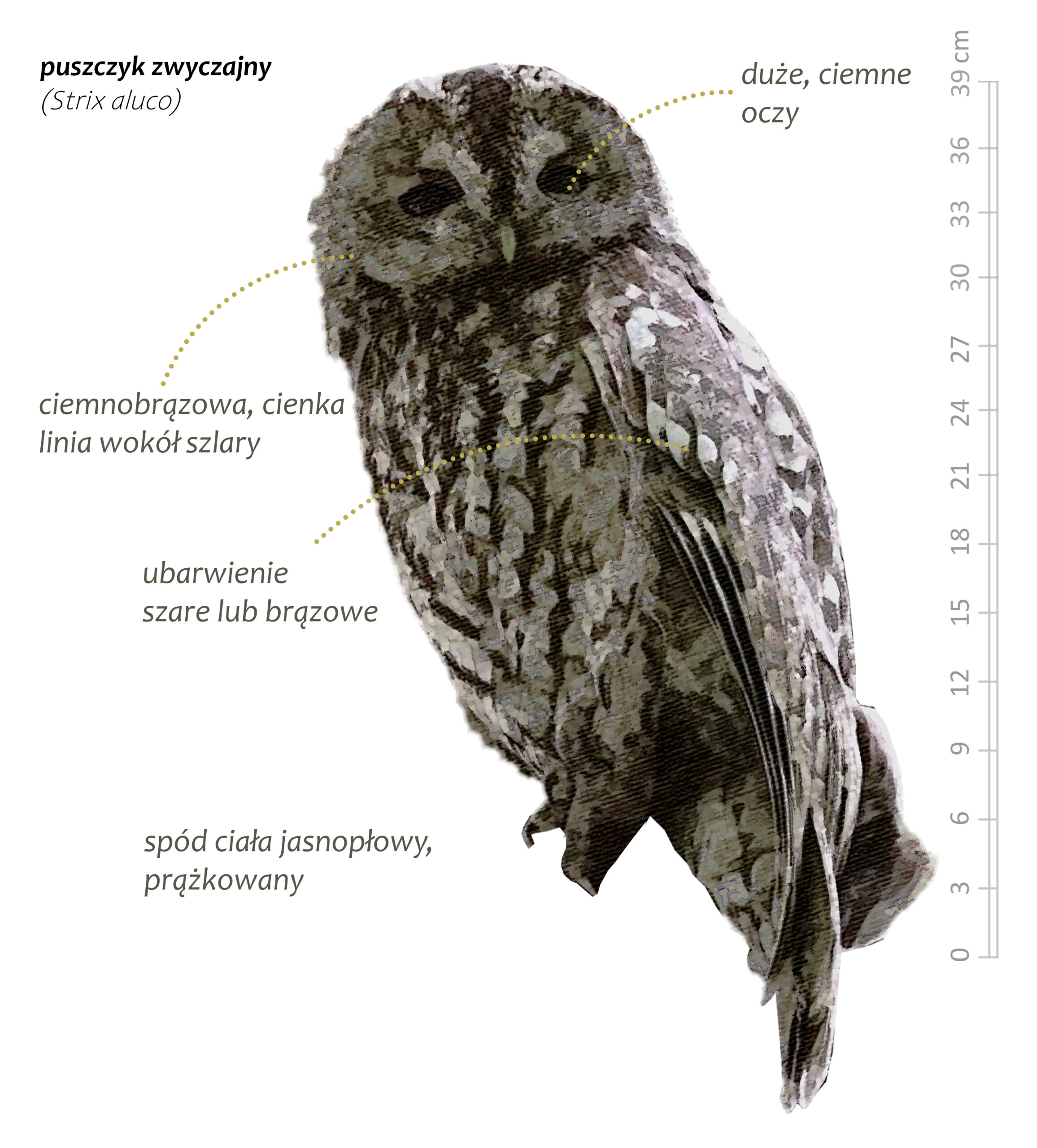 Park Miejski Pańska Góra