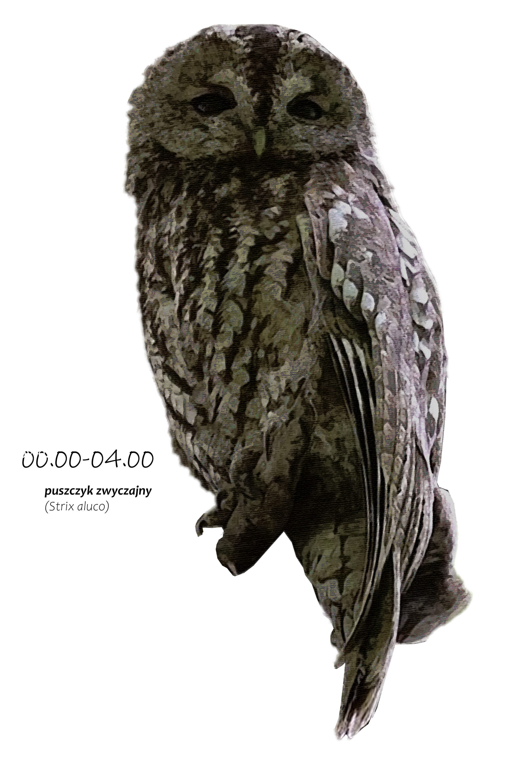 Park Miejski Pańska Góra