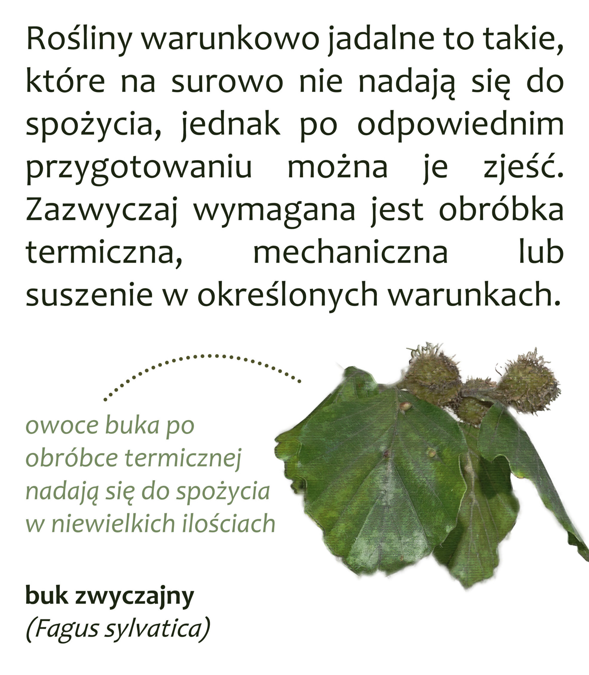 Park Miejski Pańska Góra