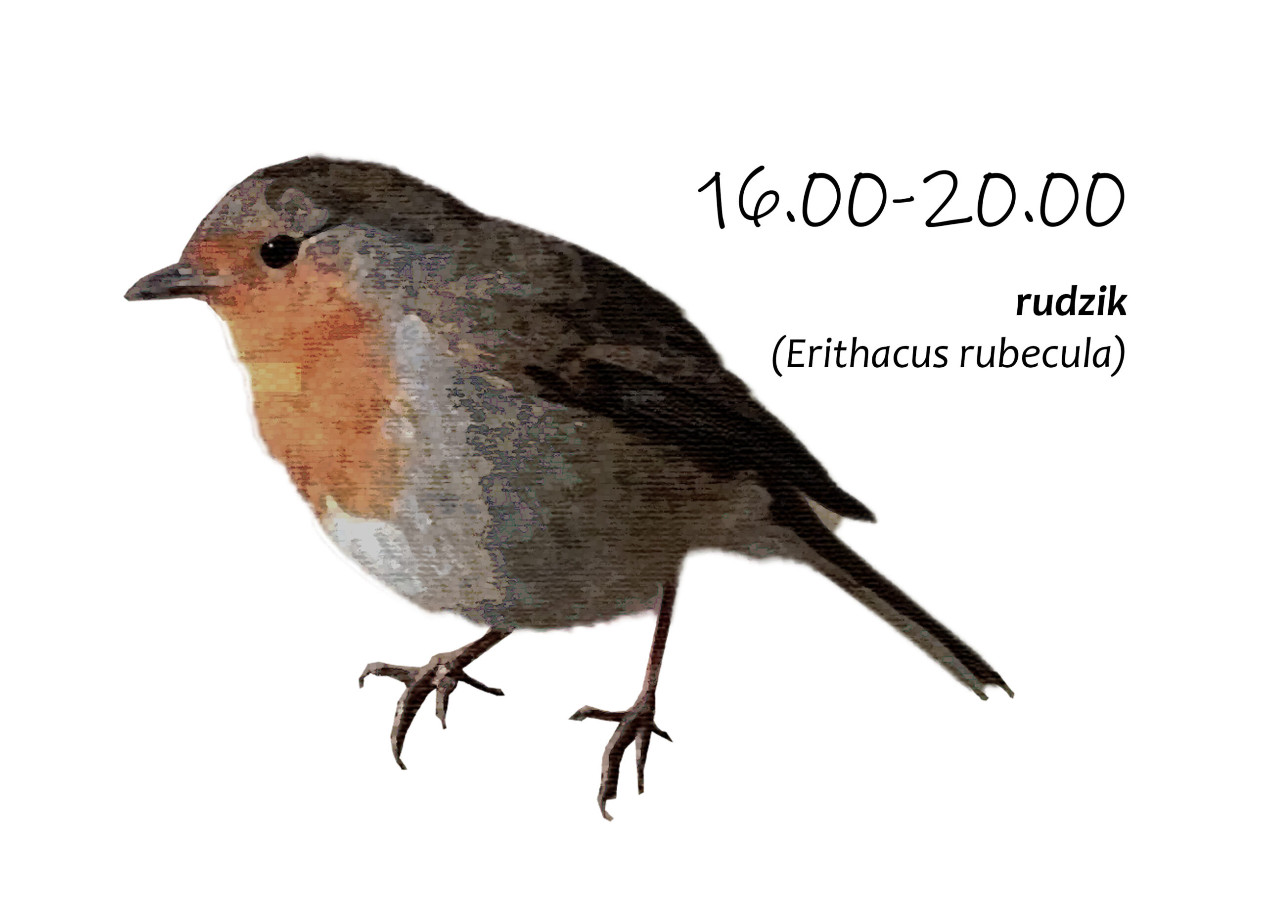 Park Miejski Pańska Góra