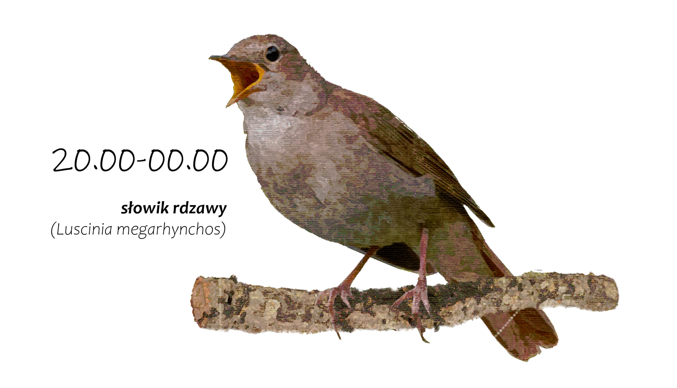 Park Miejski Pańska Góra