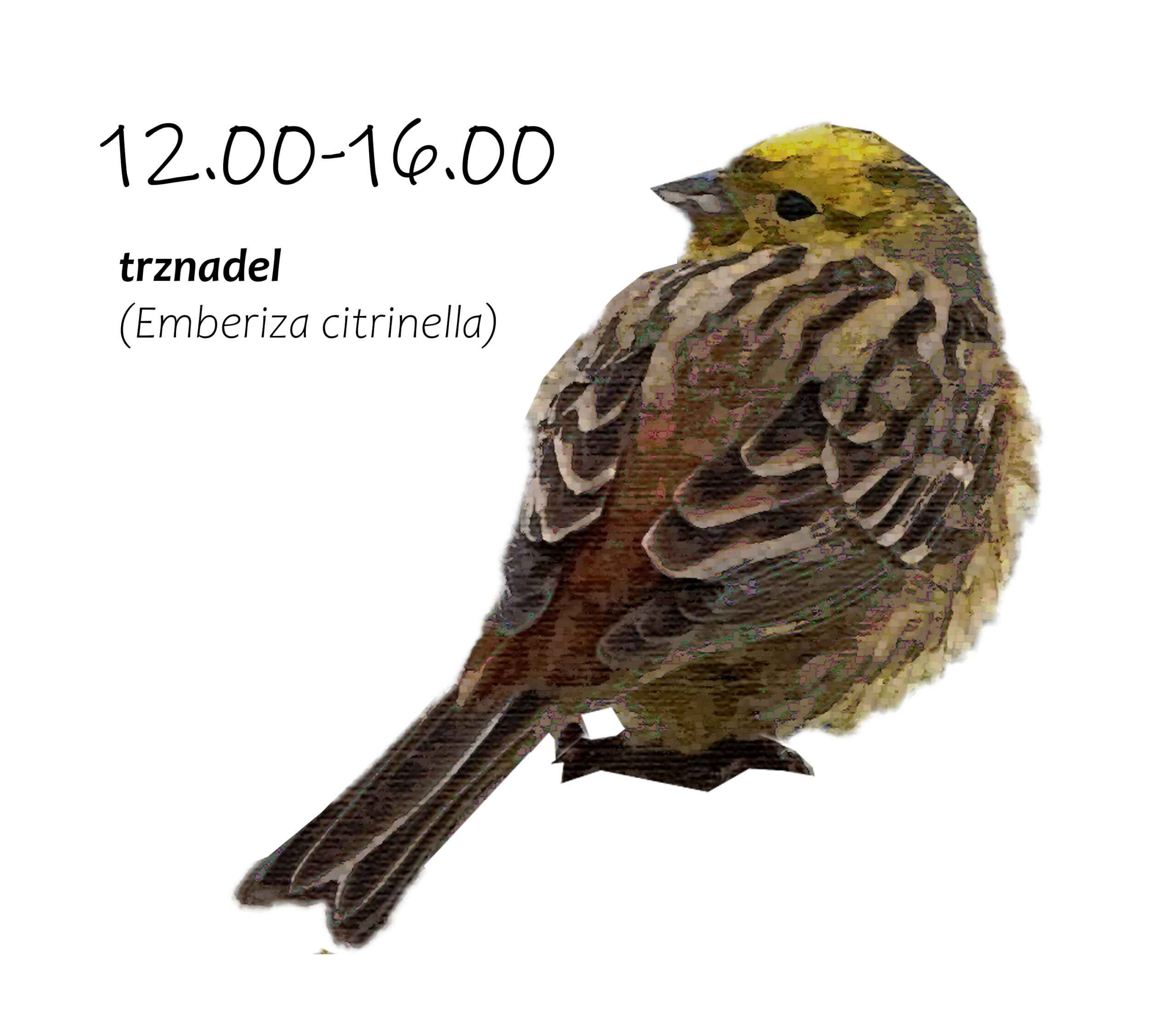 Park Miejski Pańska Góra