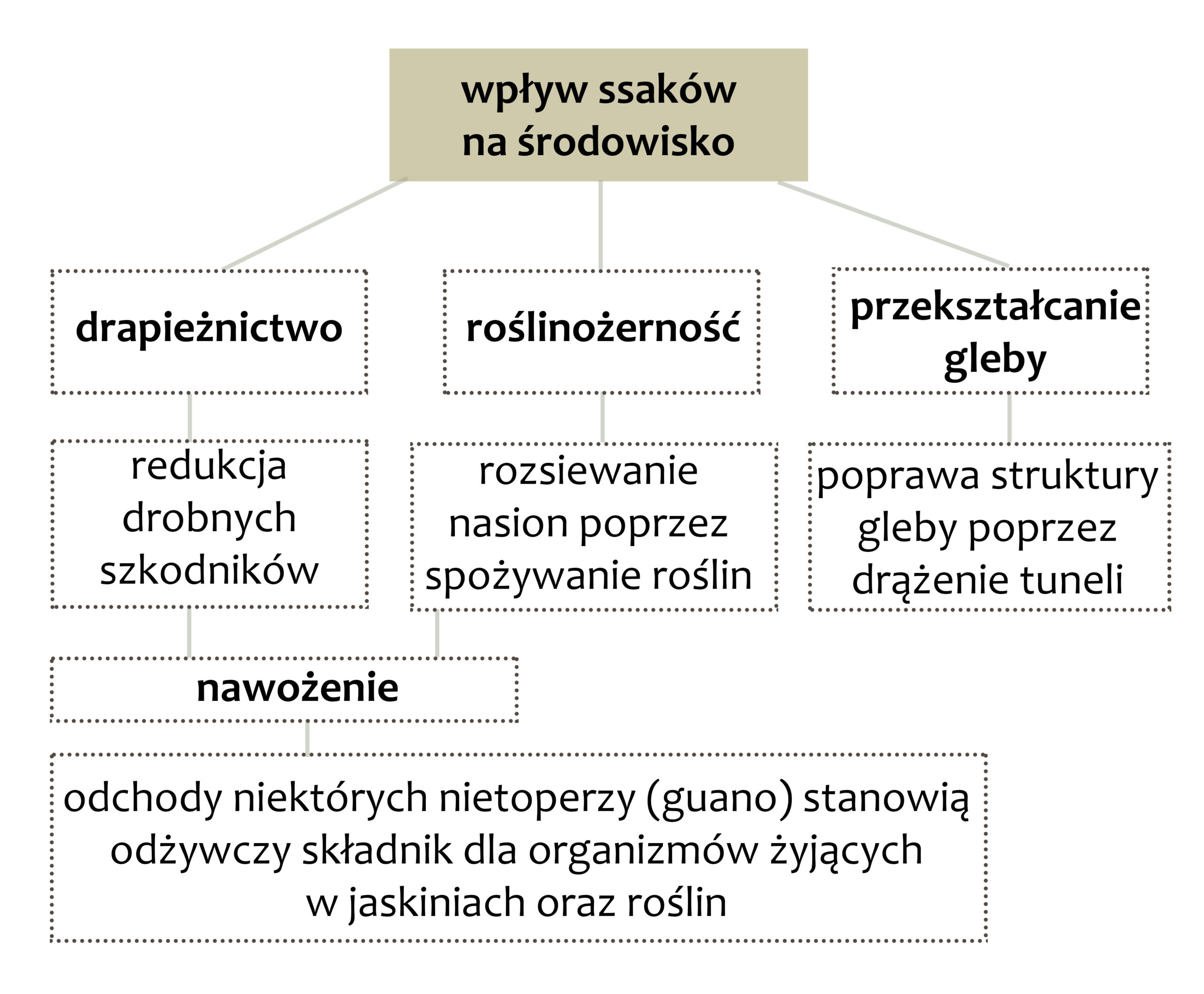 Park Miejski Pańska Góra