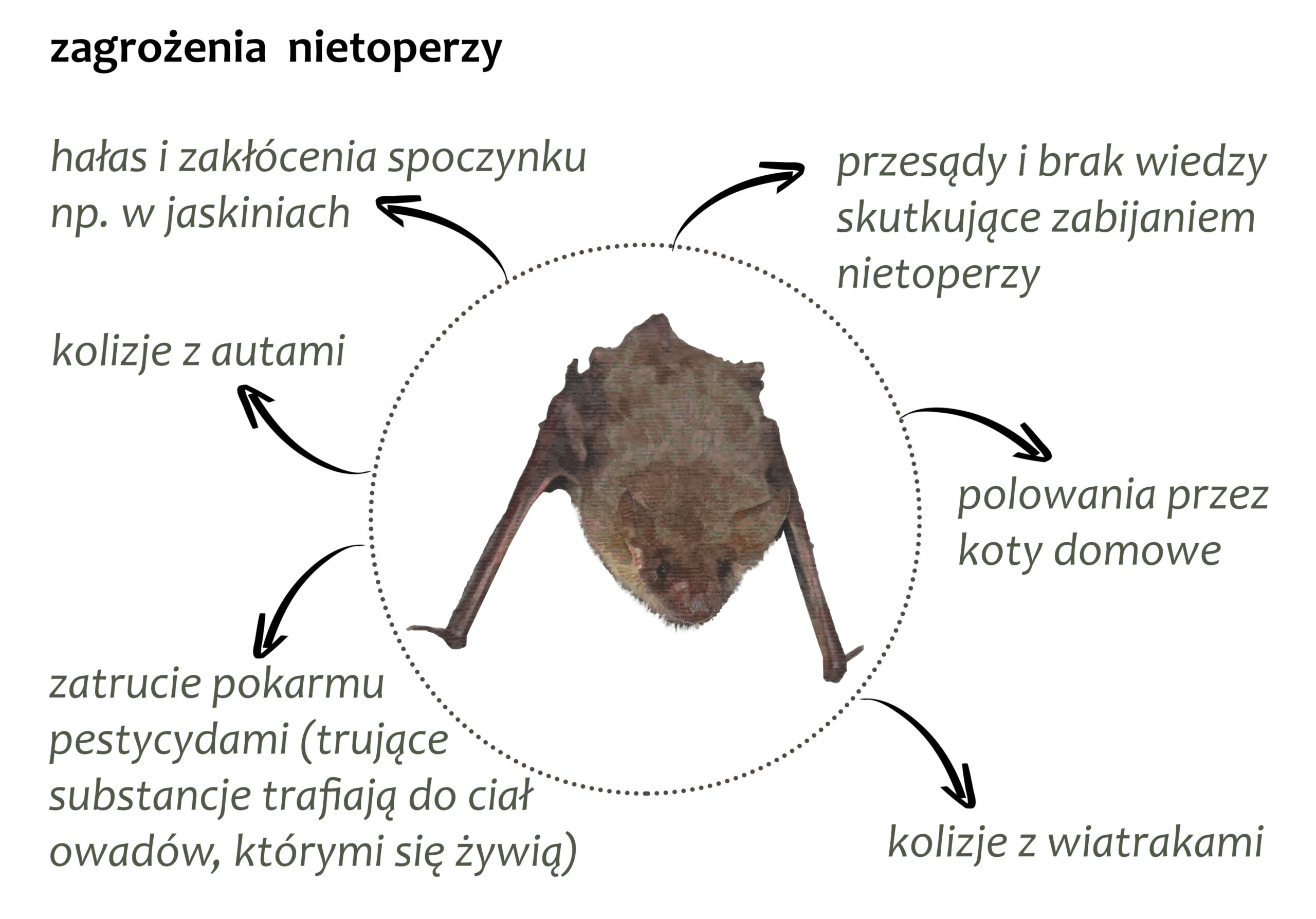 Park Miejski Pańska Góra