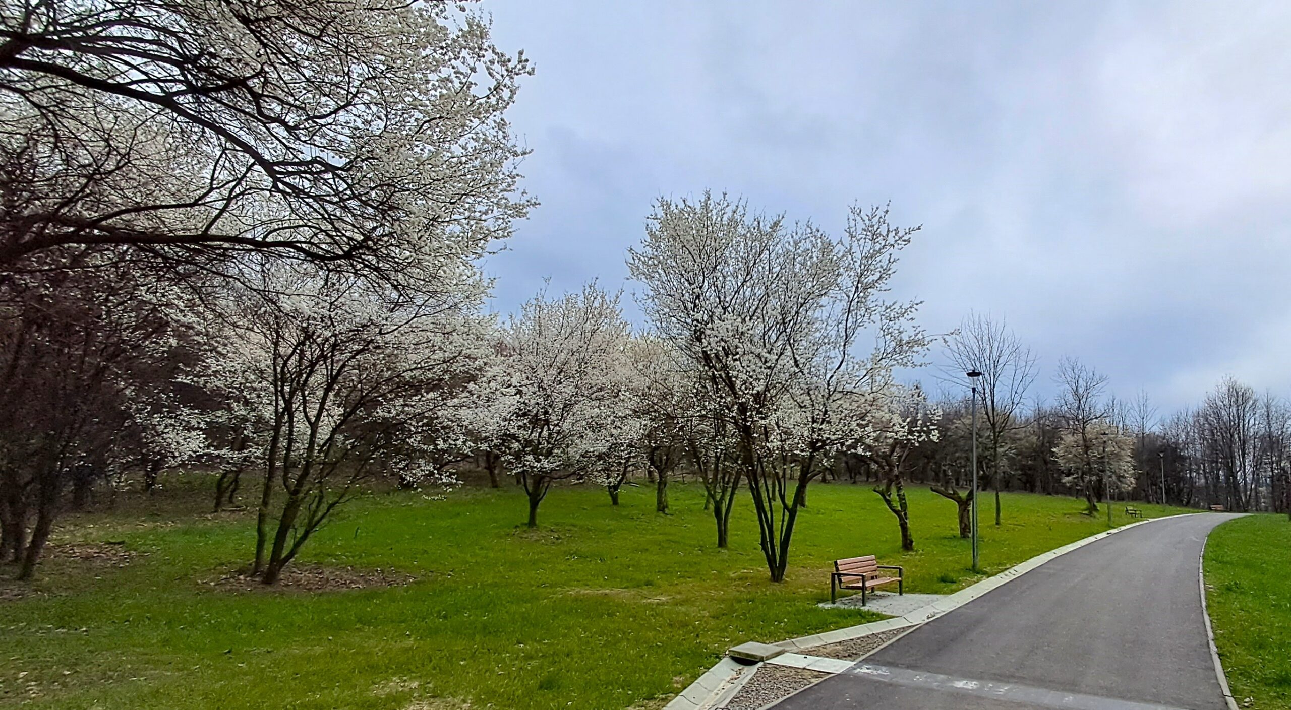 Park Miejski Pańska Góra