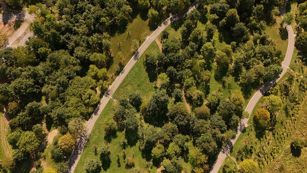 Park Miejski Pańska Góra