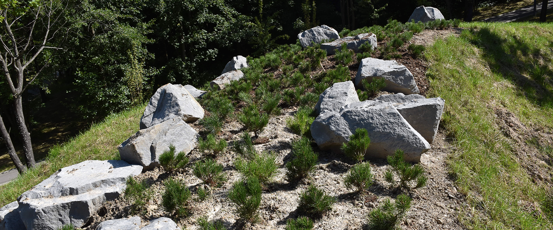 Park Miejski Pańska Góra