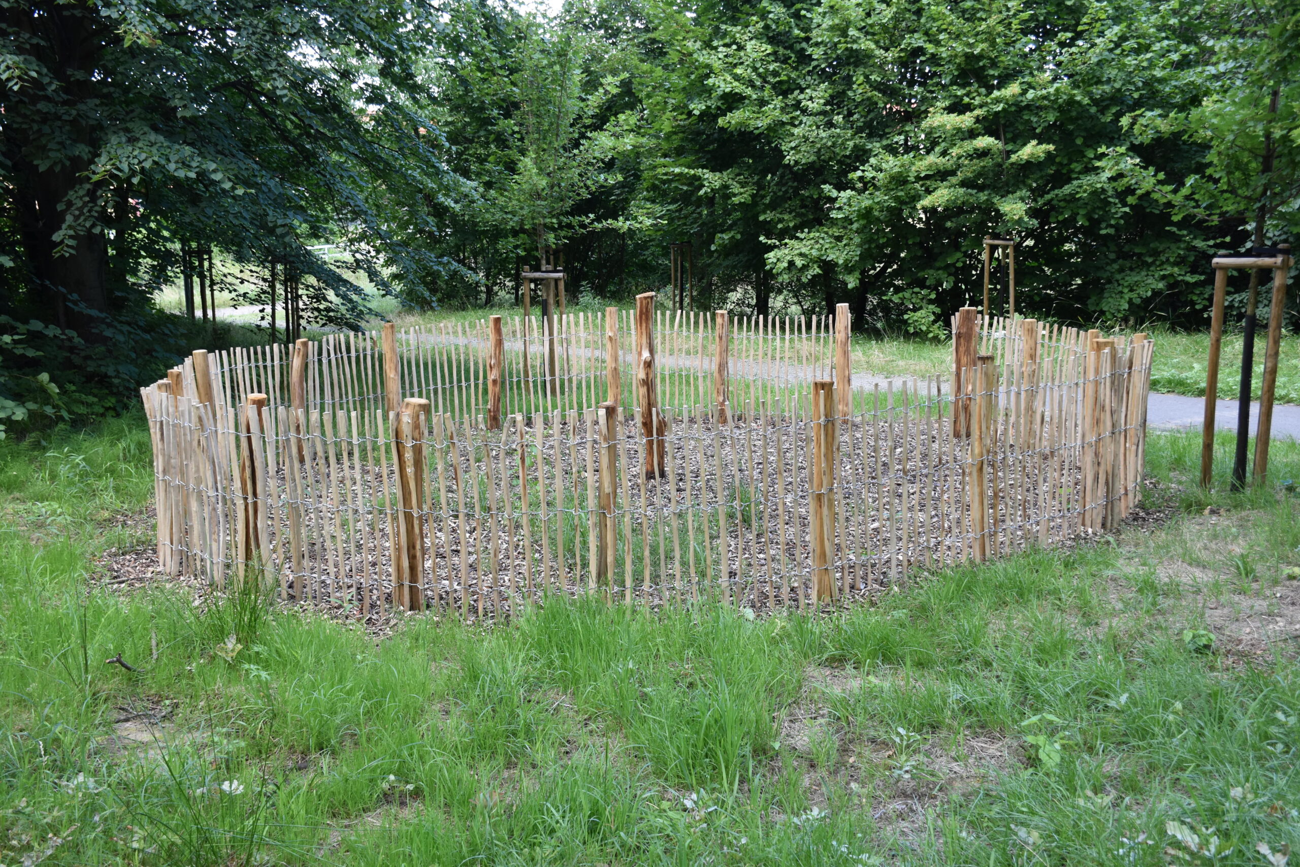 Park Miejski Pańska Góra