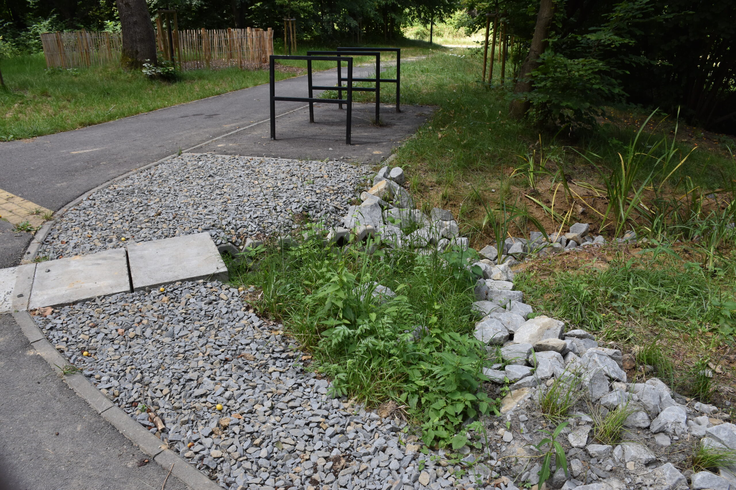 Park Miejski Pańska Góra