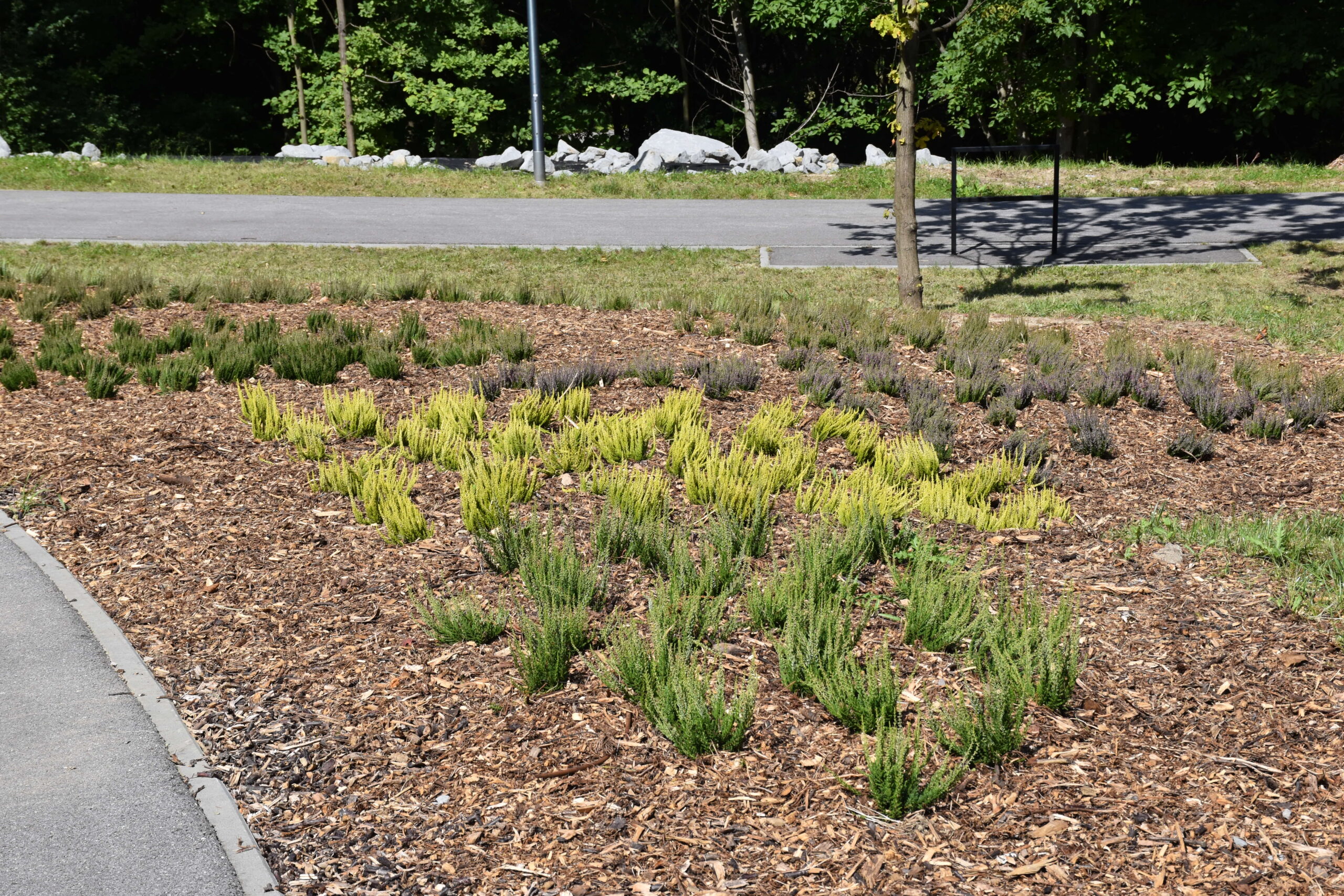 Park Miejski Pańska Góra