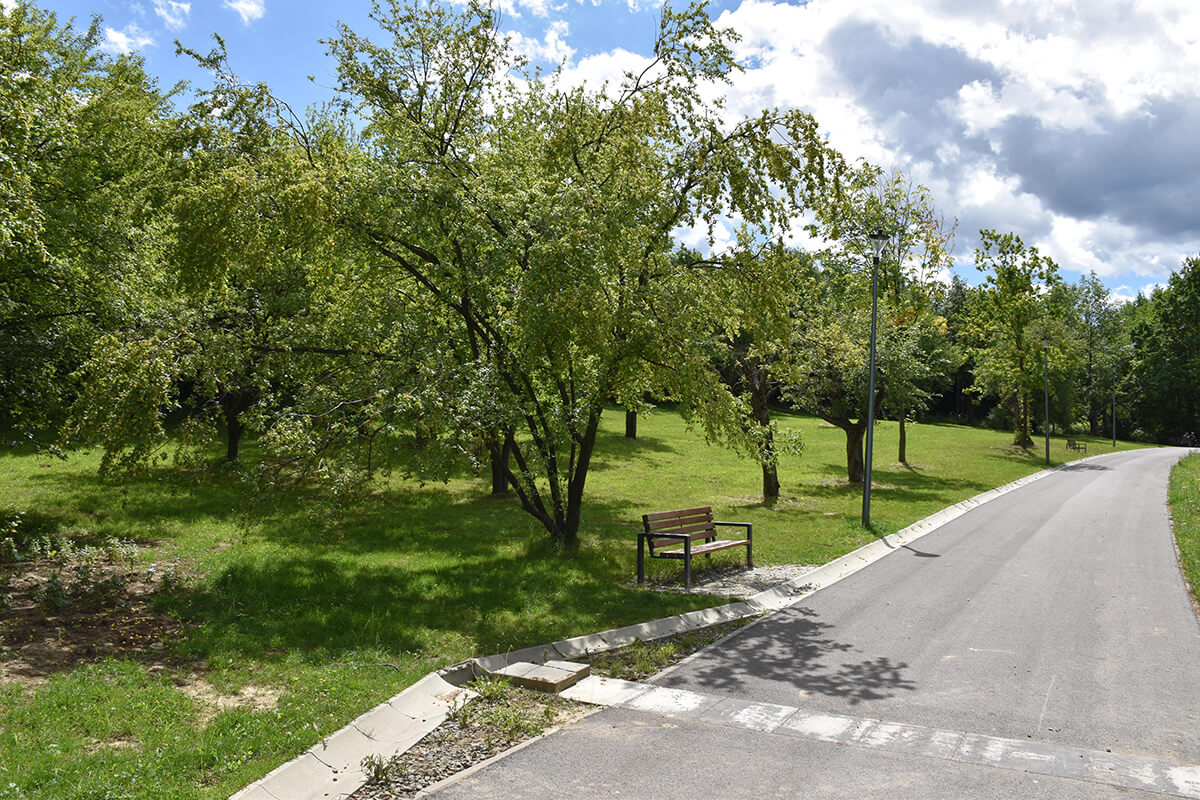 Park Miejski Pańska Góra