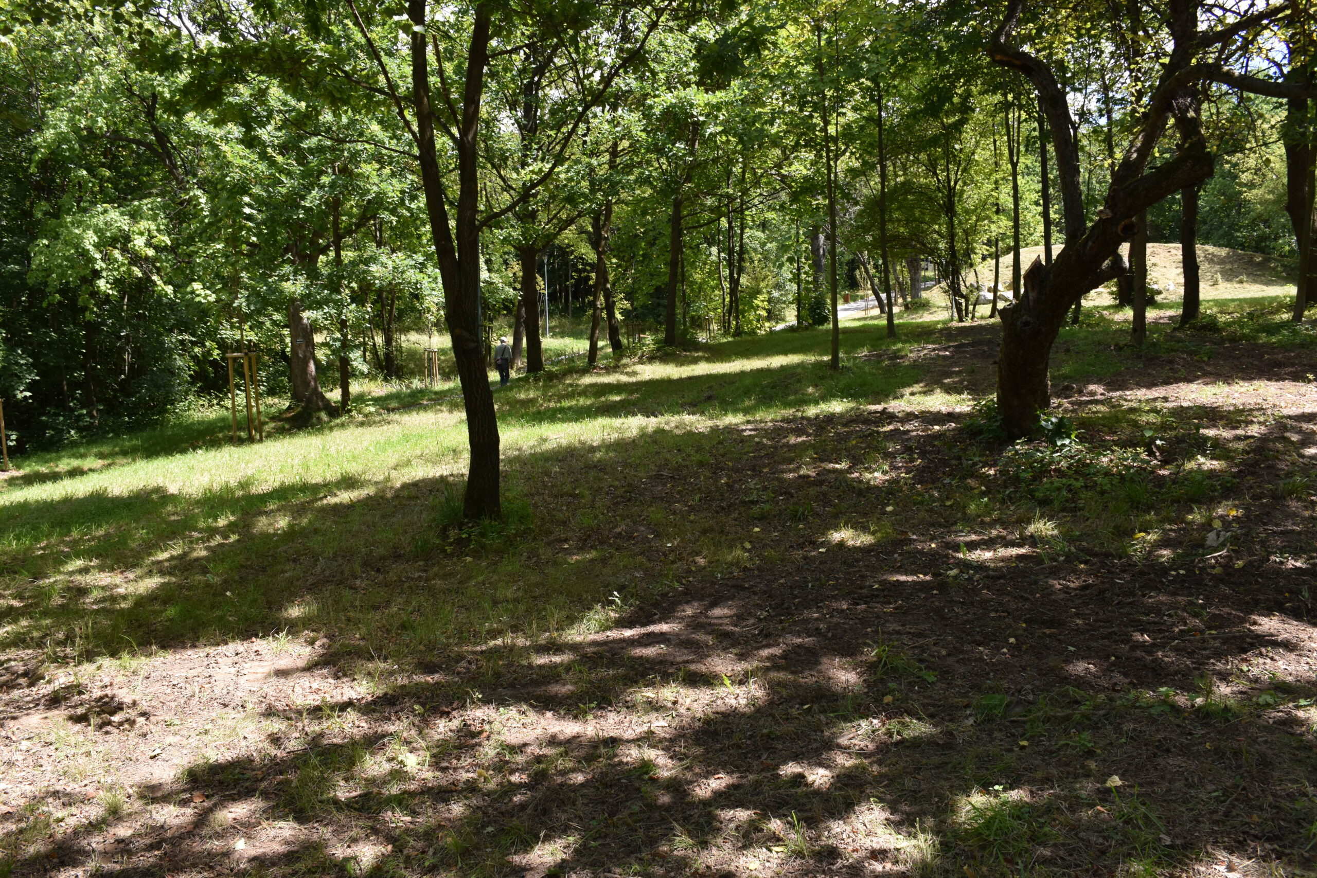 Park Miejski Pańska Góra