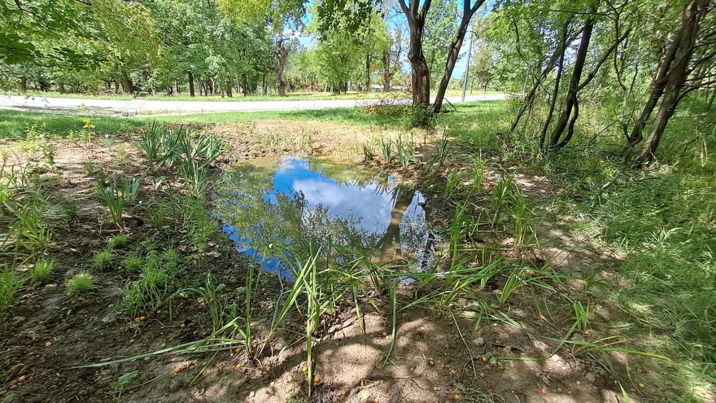 Park Miejski Pańska Góra