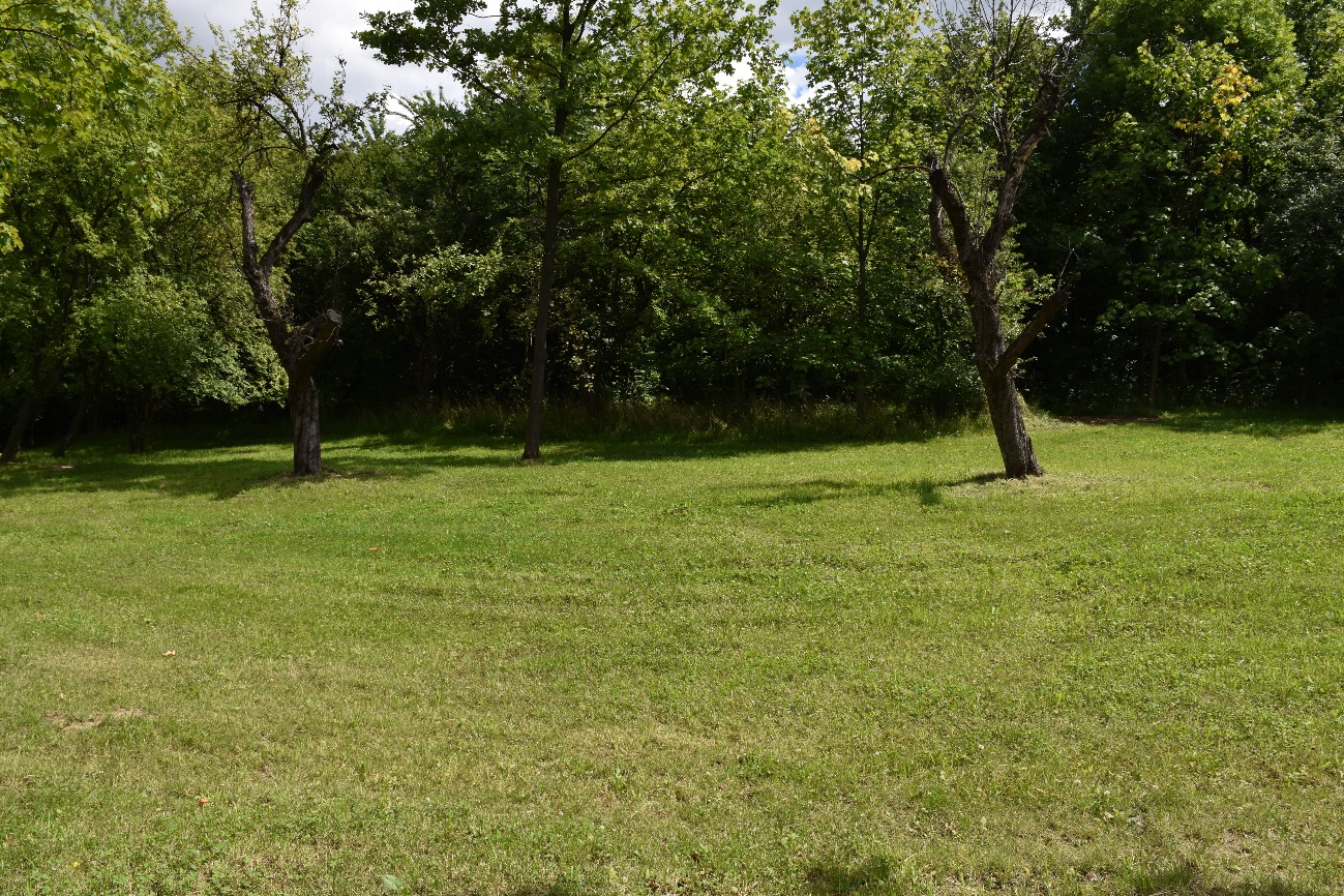 Park Miejski Pańska Góra