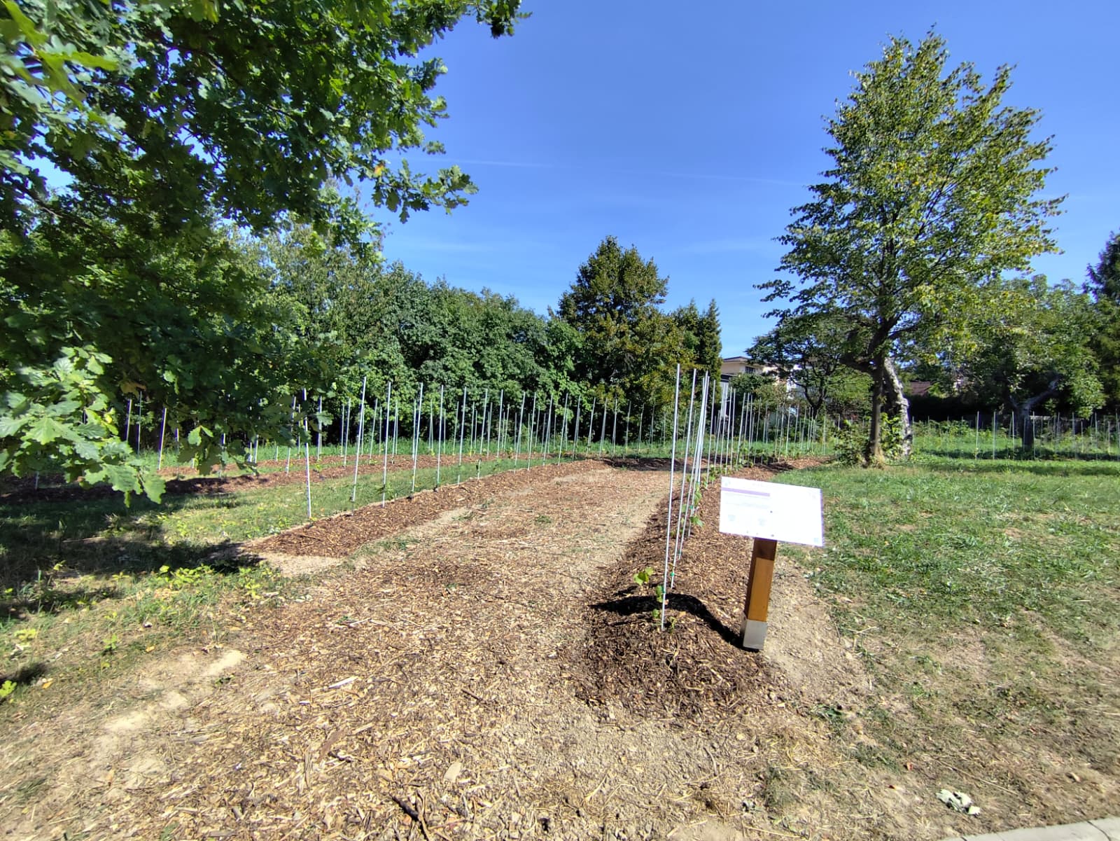 Park Miejski Pańska Góra