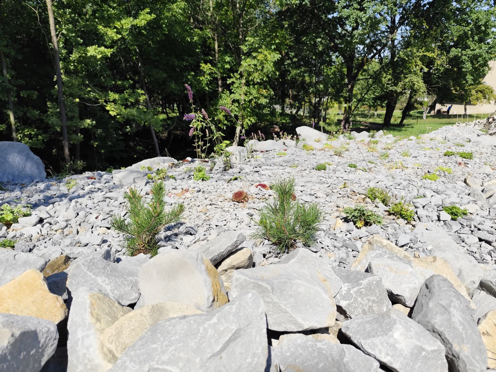 Park Miejski Pańska Góra