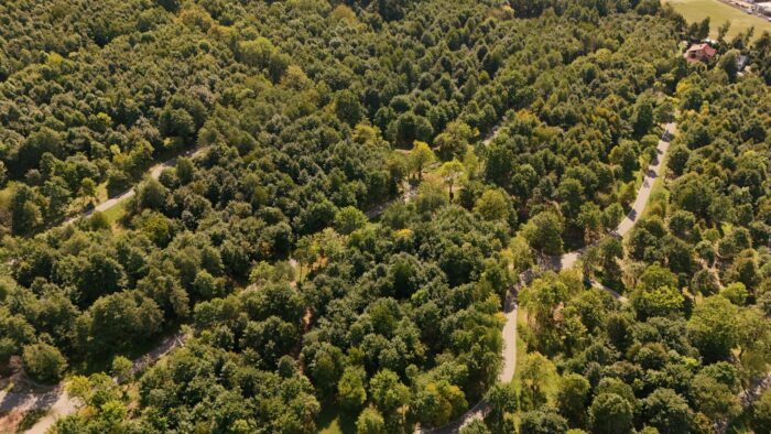 Park miejski Andrychów - panorama