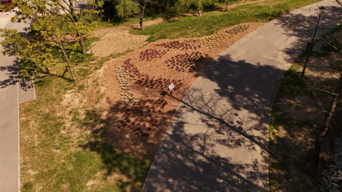 Park miejski Andrychów - panorama