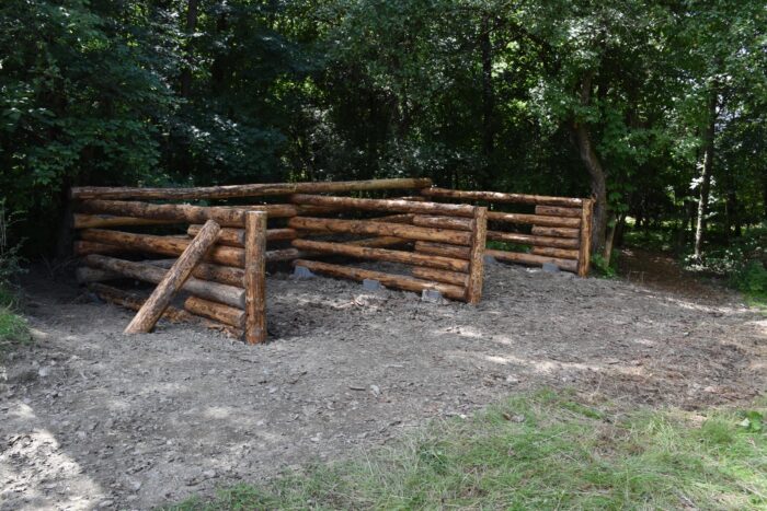 Park miejski Pańska Góra w Andrychowie - flora