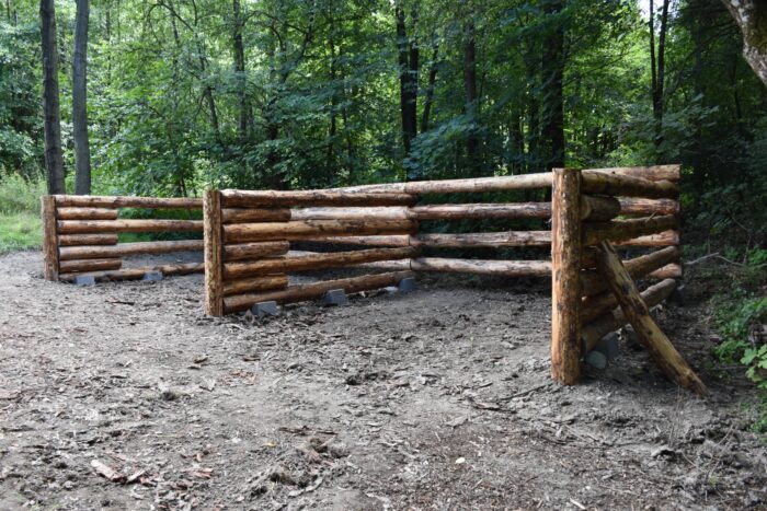 Park miejski Pańska Góra w Andrychowie - flora