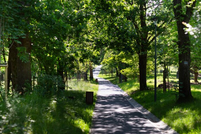 Park miejski Pańska Góra w Andrychowie - flora