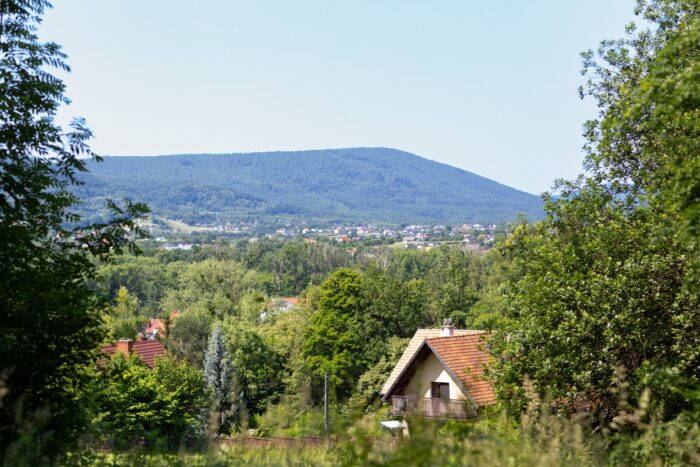 Park miejski Andrychów - panorama