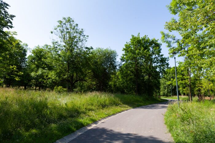 Park miejski Pańska Góra w Andrychowie - flora